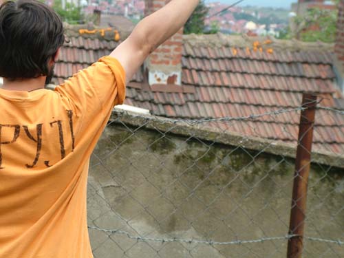 ����������� ���� 2009 � 1389.org.rs